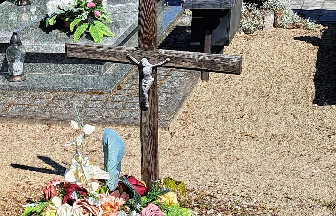 Z życia wzięte. Ocalić od zapomnienia wśród nas, czyli o dipladenii pana Zygmunta z Jarocina