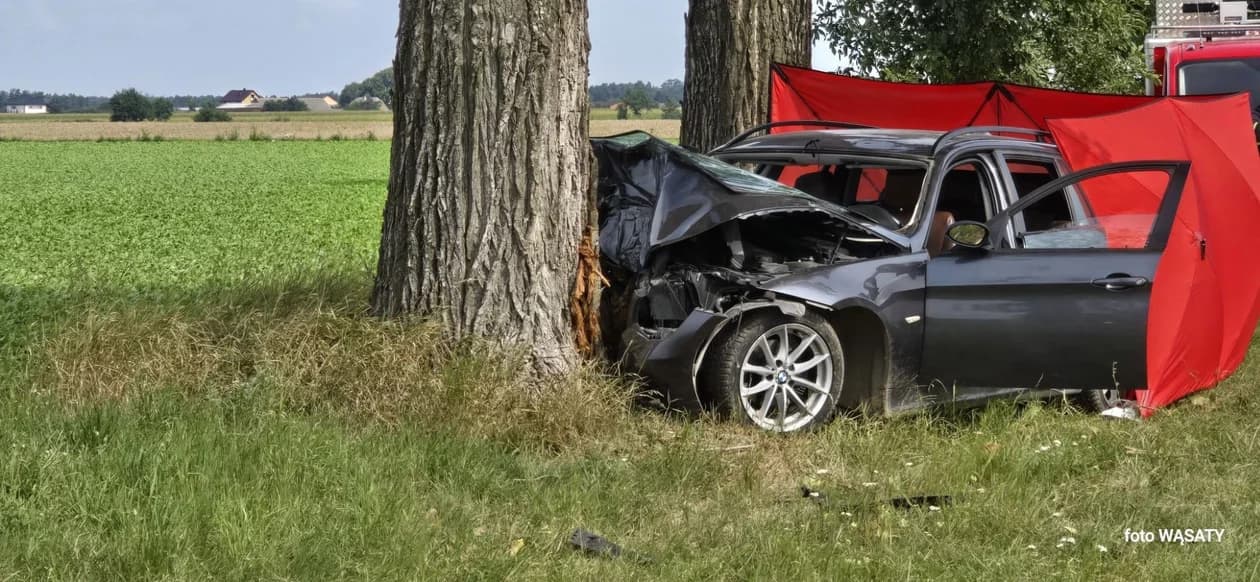 BMW uderzyło w drzewo w powiecie śremskim