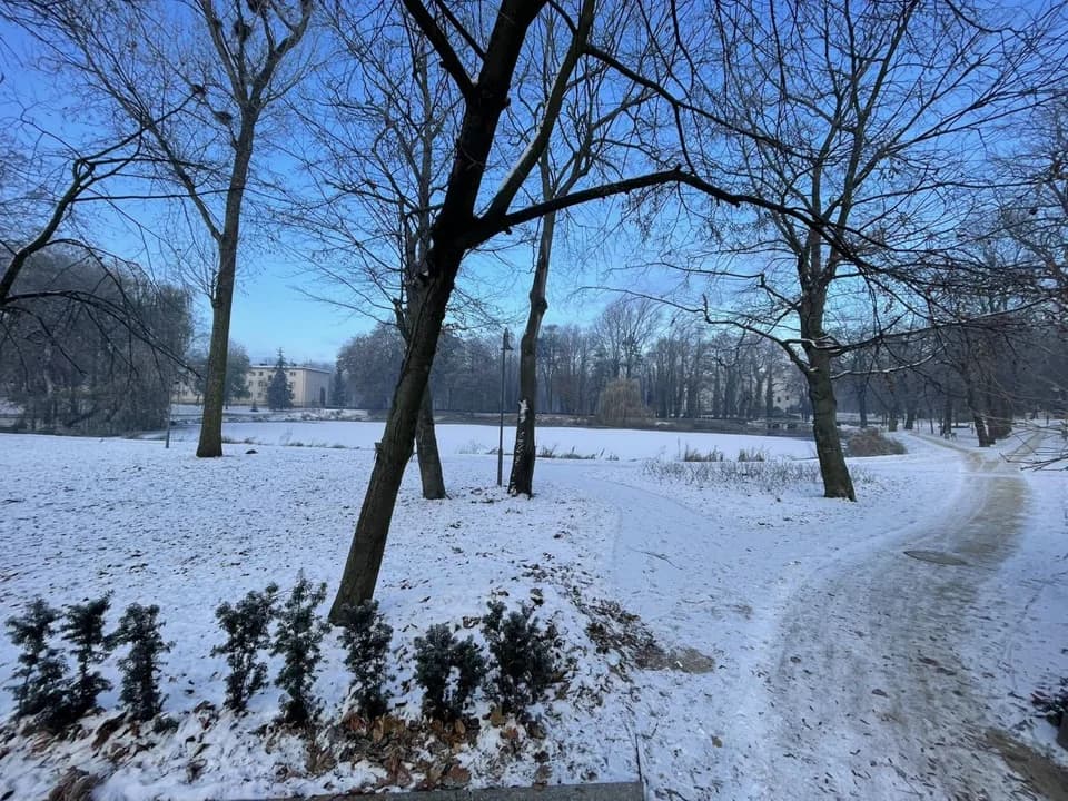 Myślała, że mężczyzna wpadł do stawu w Jarocinie. Zaalarmowała służby ratunkowe — zdjęcie 6 z 7