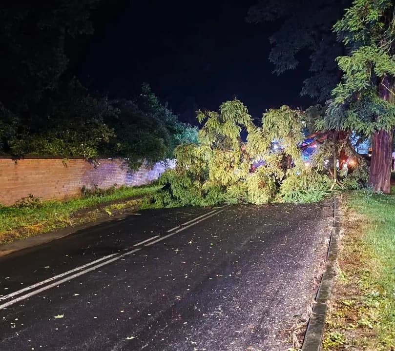 Przez Jarocin i okolice przeszła gwałtowna burza. Kilkanaście interwencji straży pożarnej [ZDJĘCIA, AKTUALIZACJA] — zdjęcie 6 z 8
