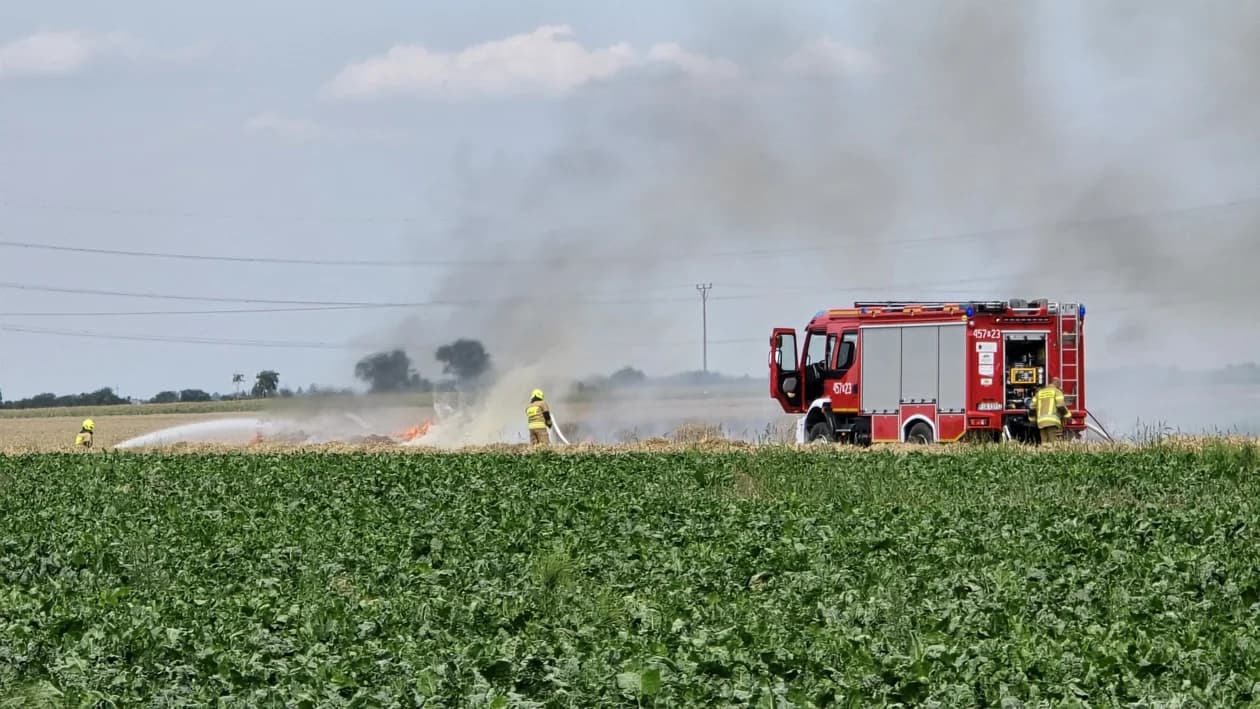 Pożar na polu w Potarzycy. Trzy zastępy straży w akcji [ZDJĘCIA] — zdjęcie 2 z 12