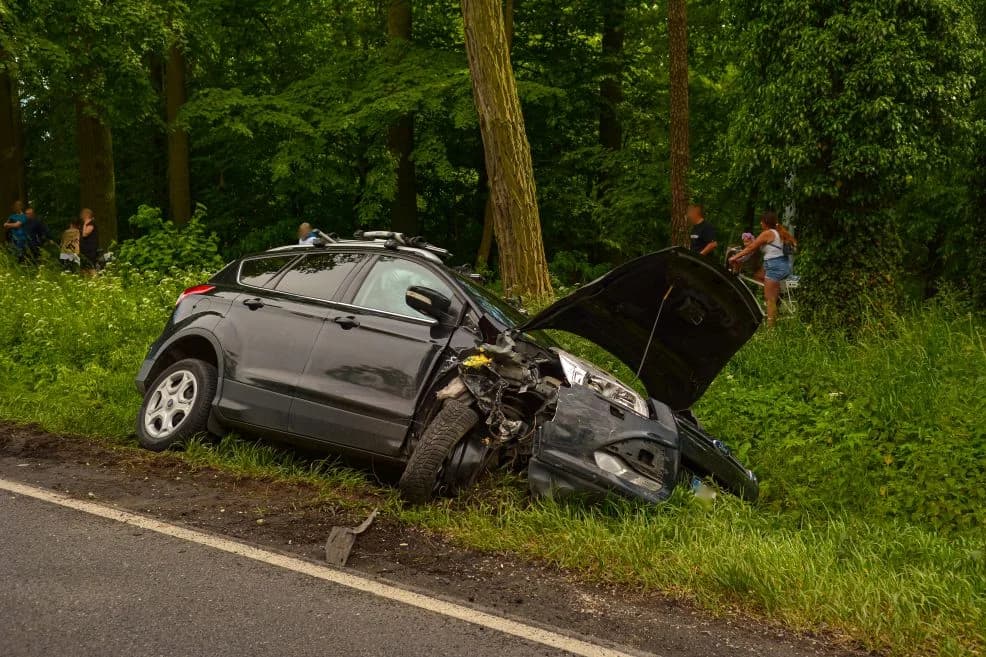 Zderzenie na DK 11 między Jarocinem a Witaszyczkami. Samochodami podróżowało pięć osób — zdjęcie 4 z 11