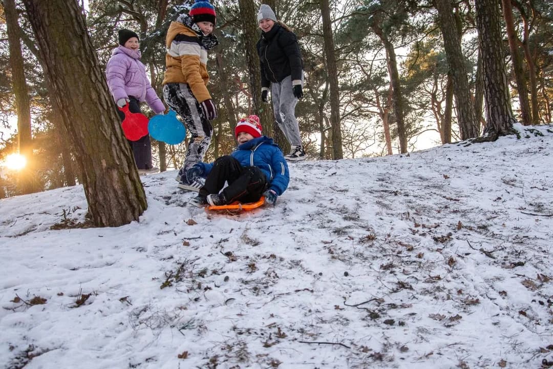 Śnieg - utrapienie dla drogowców i kierowców, a źródło radości dla dzieci. W jarocińskich parkach trwa sezon saneczkowy [ZDJĘCIA]