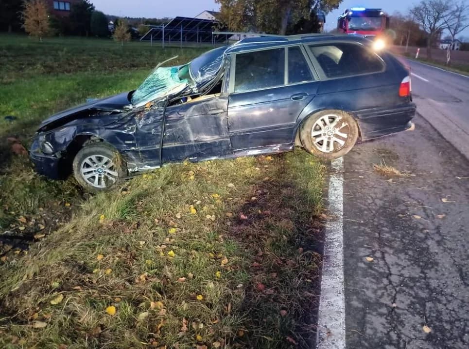 Niebezpieczny poranek na drodze. Kierowca chciał ominąć zwierzę. Razem z pasażerką trafili do szpitala. — zdjęcie 3 z 5