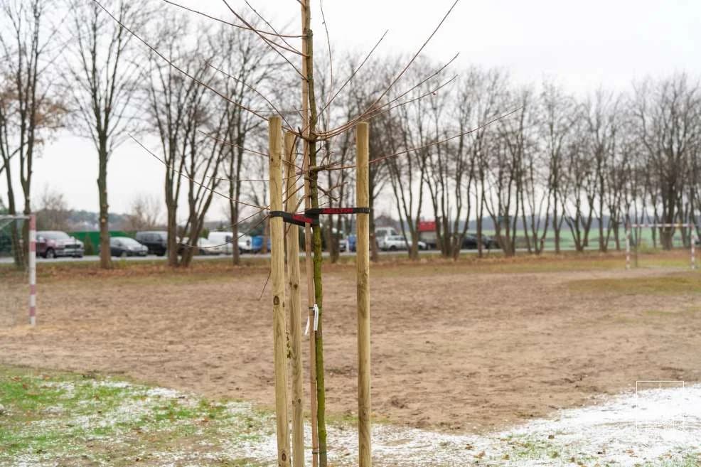 Pod Jarocinem powstało miejsce, gdzie mieszkańcy będą mogli się spotykać i spędzać razem czas. Zobaczcie sami - ZDJĘCIA [SONDA] — zdjęcie 3 z 10
