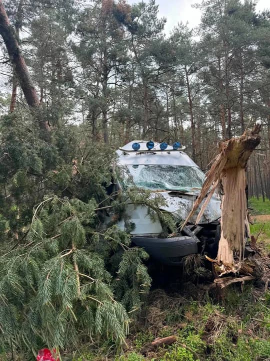 Roztrzaskał auto w gęstym lesie. Duża akcja służb i... spodziewana przyczyna [ZDJĘCIA] — zdjęcie 3 z 3