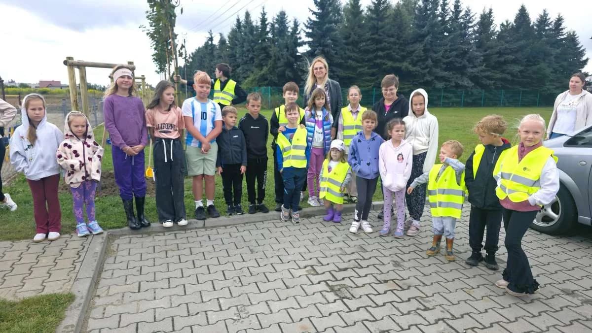 Sadzenie drzew na osiedlu Zatorze w Jarocinie — zdjęcie 1 z 39