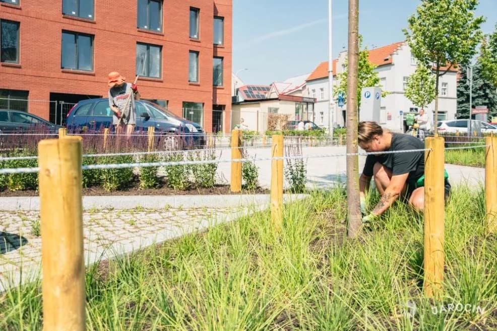 Przetarg na utrzymanie i pielęgnację zieleni w części śródmieścia Jarocina — zdjęcie 2 z 10