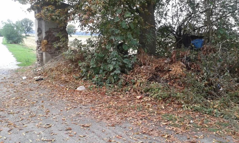 Tak wyglądał park przed porządkowniem — zdjęcie 6 z 10