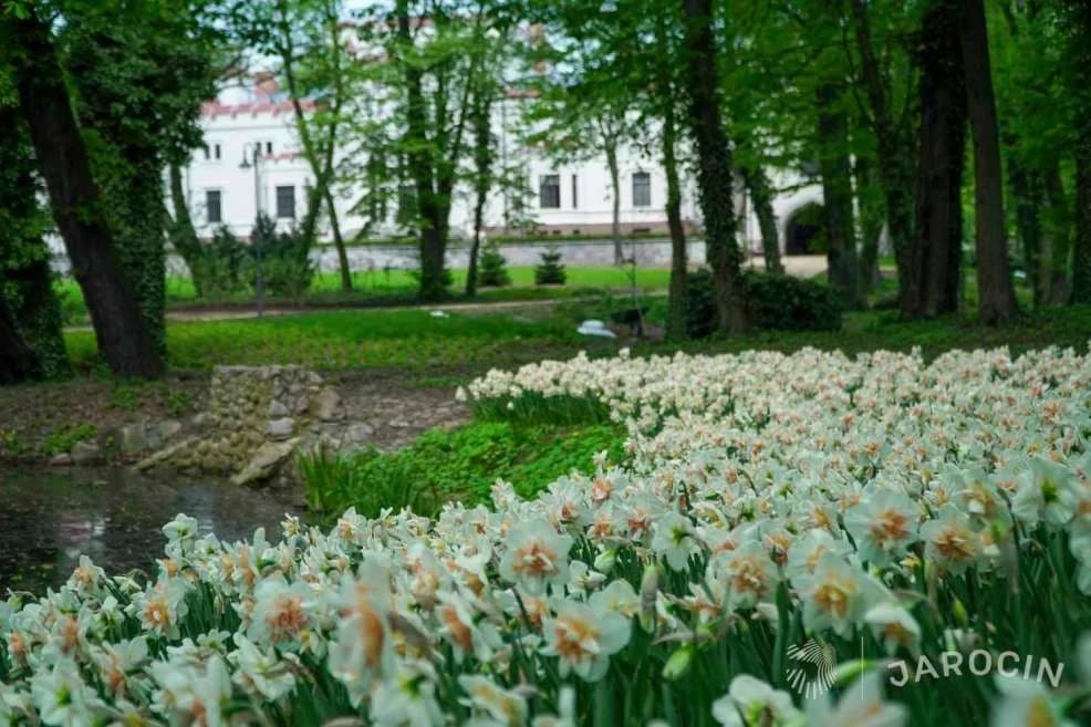 Nagroda Towarzystwa Urbanistów Polskich dla gminy Jarocin — zdjęcie 4 z 24