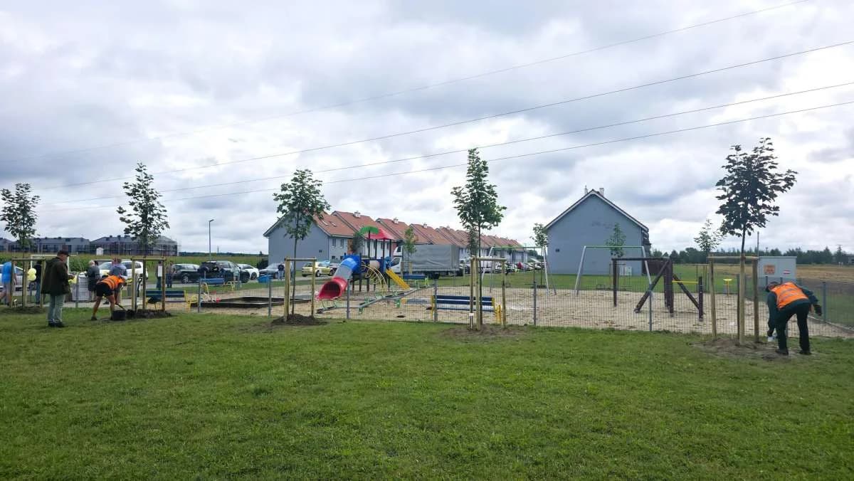 Sadzenie drzew na osiedlu Zatorze w Jarocinie — zdjęcie 4 z 39
