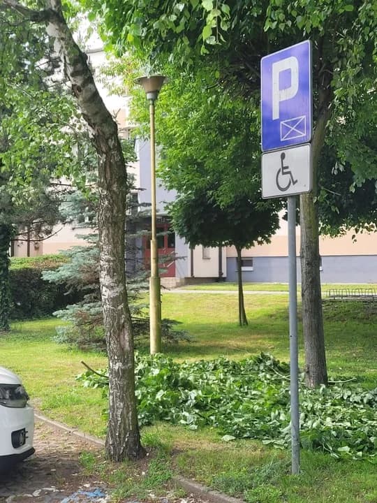 Zarośnięte lampy w centrum Jarocina. Jest reakcja spółdzielni mieszkaniowej — zdjęcie 4 z 4