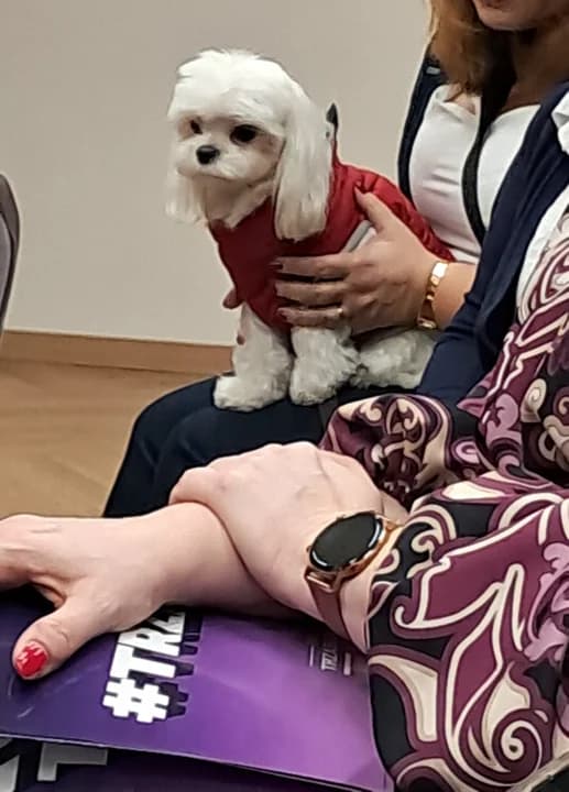 Z życia wzięte. Klaus na prezydenta, czyli o głosie kandydata [ZDJĘCIA]