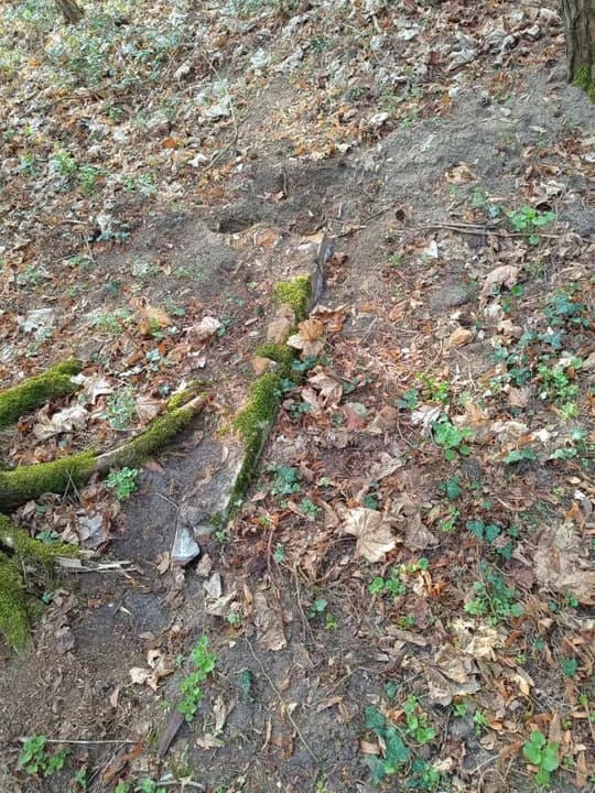 Czy w Żerkowie doszło do znieważenia miejsca pochówku i zwłok? Policja prowadzi dochodzenie [ZDJĘCIA] — zdjęcie 5 z 5