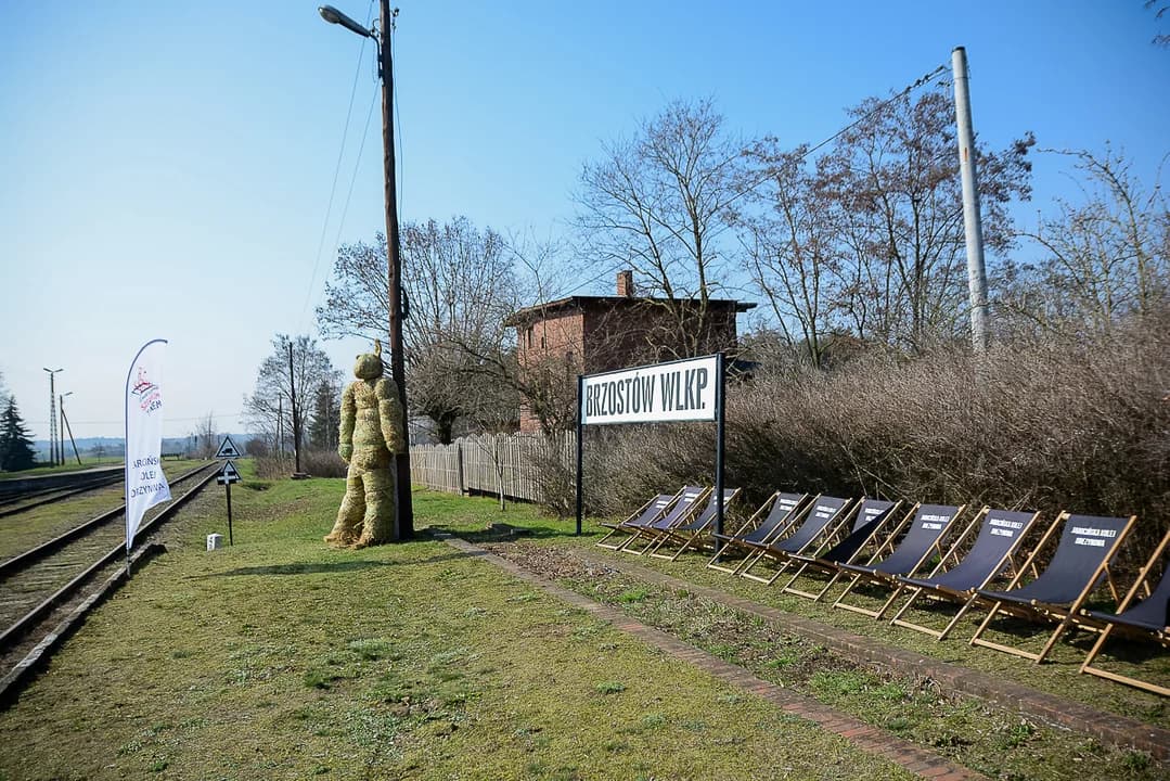 Dzień Kobiet na drezynach