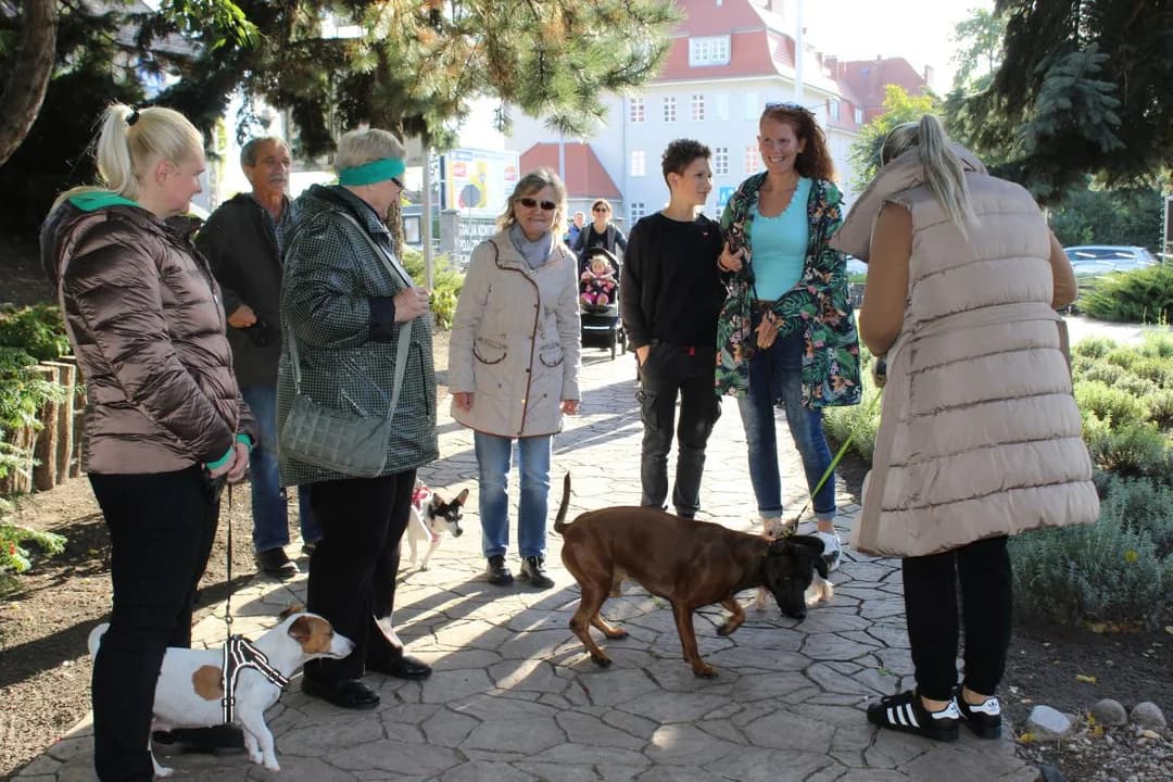 Odpust u franciszkanów w Jarocinie. Po raz pierwszy z błogosławieństwem zwierząt [ZDJĘCIA]