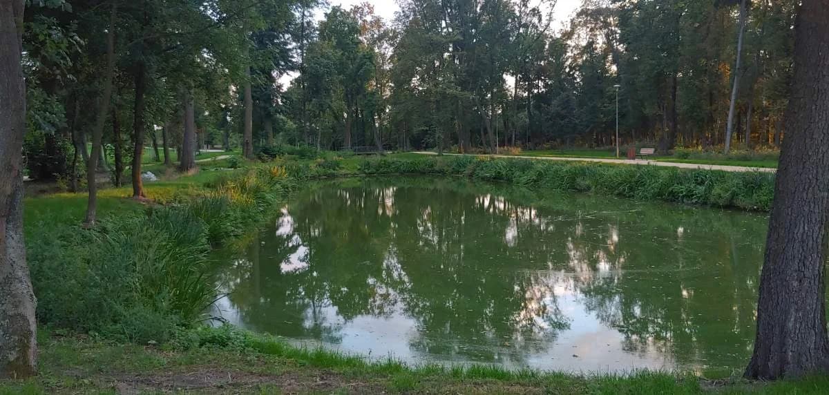 Park w Jaraczewie wygrał konkurs za rewitalizację. Nagrodę przyznało Towarzystwo Urbanistów Polskich