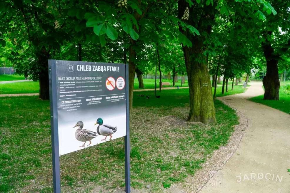Nagroda Towarzystwa Urbanistów Polskich dla gminy Jarocin — zdjęcie 3 z 24
