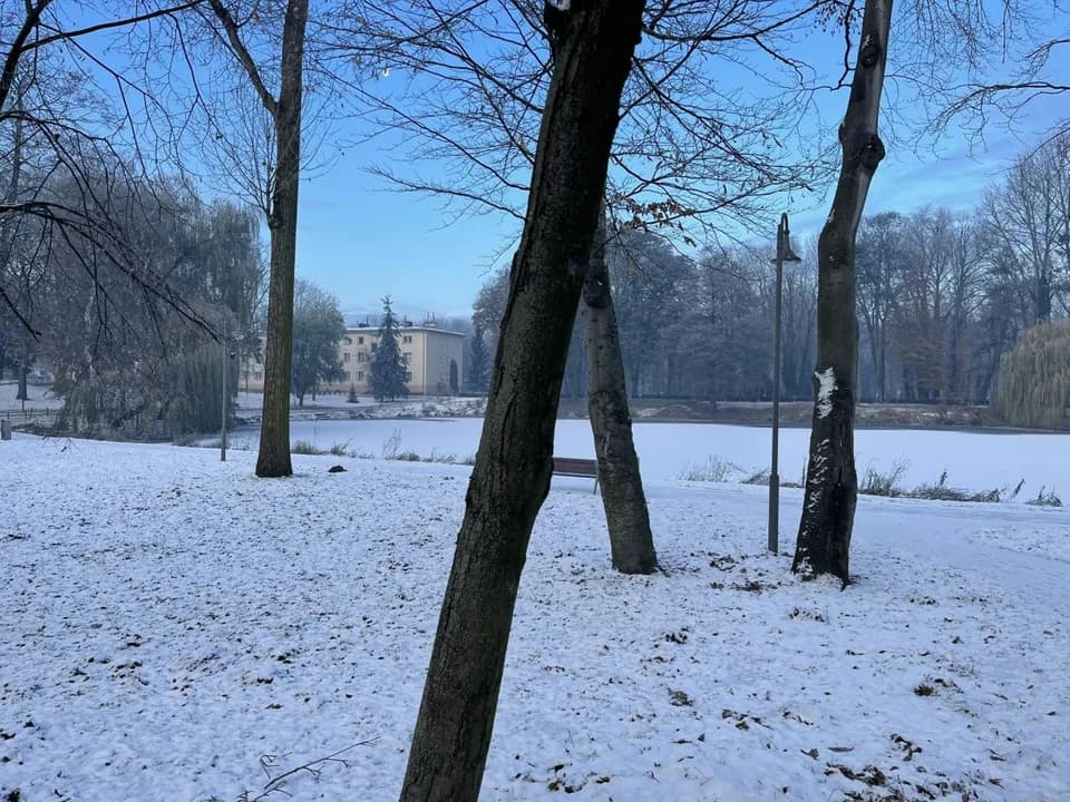 Myślała, że mężczyzna wpadł do stawu w Jarocinie. Zaalarmowała służby ratunkowe — zdjęcie 5 z 7