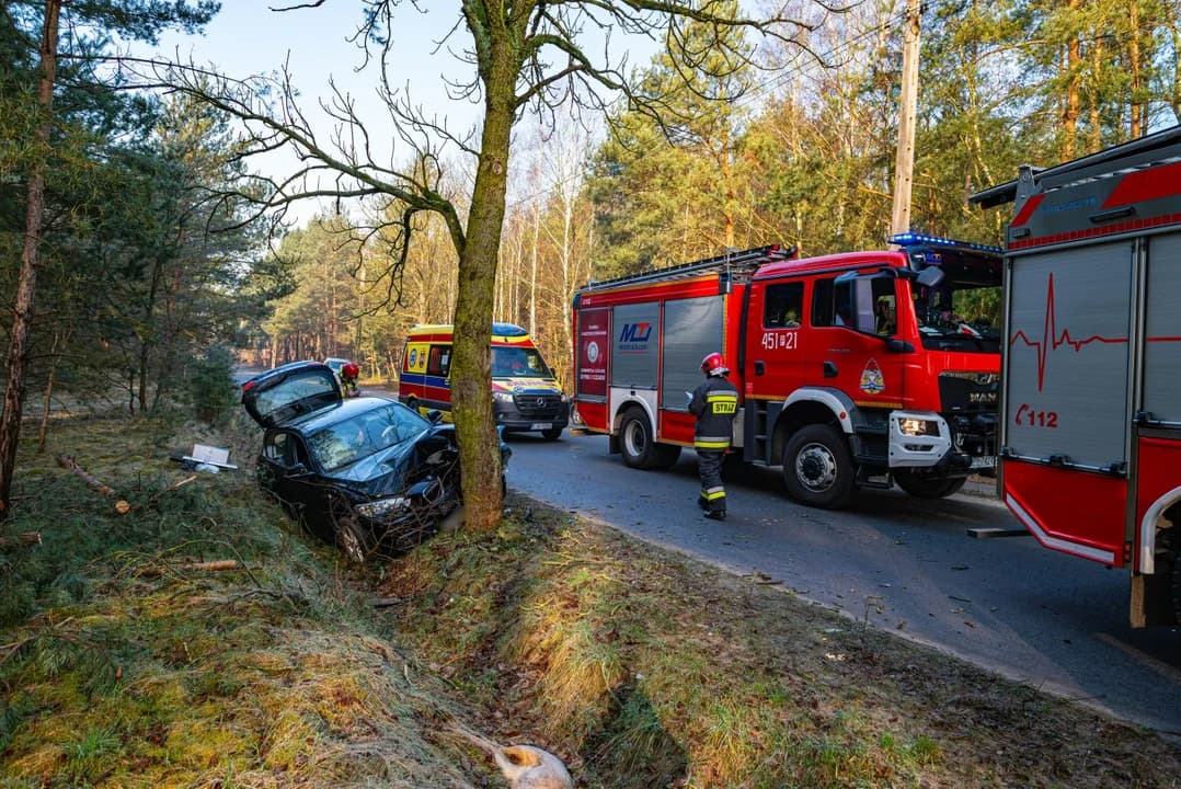 BMW uderzyła w drzewo w Wilkowyi