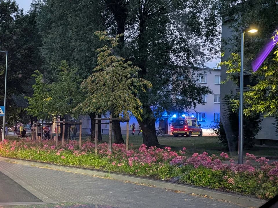 Cztery osoby zatrzymane po śmiertelnym zdarzeniu. Śledztwo trwa. Sprawa budzi duże emocje — zdjęcie 5 z 8