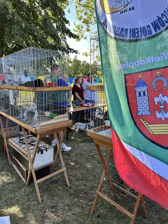 Dożynki Gminy Nowe Miasto w Chromcu [ZOBACZ ZDJĘCIA] — zdjęcie 6 z 109