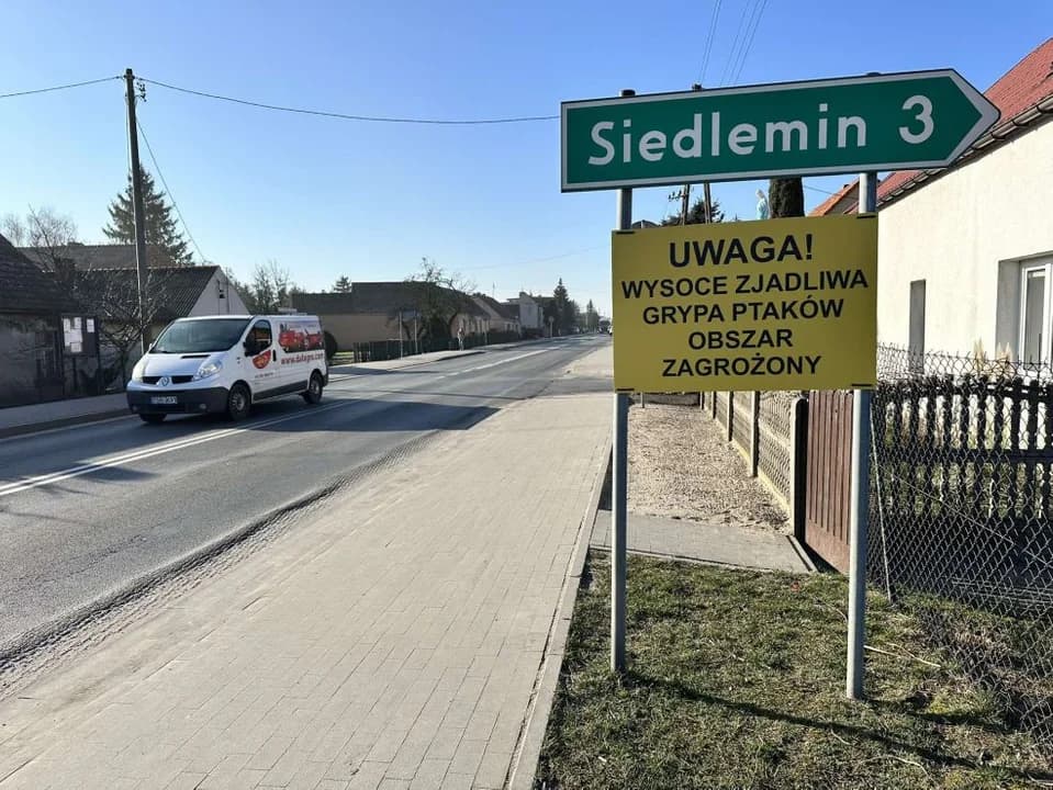 Podejrzenie ptasiej grypy w gminie Jarocin — zdjęcie 4 z 7