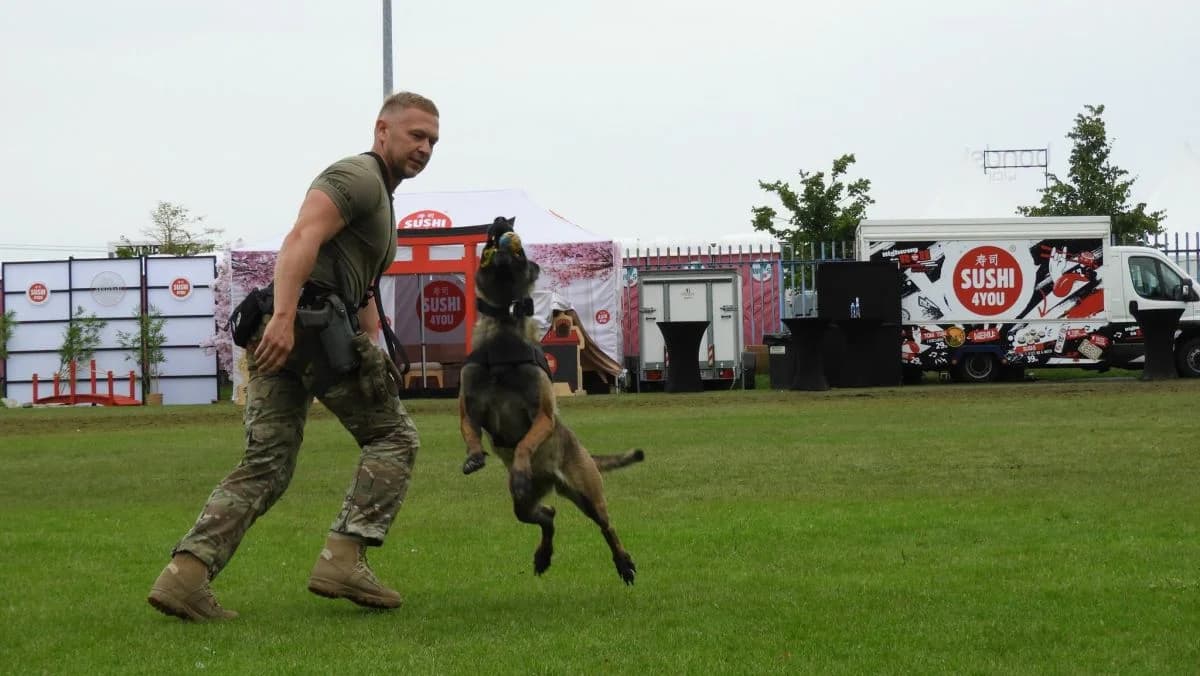 Jarocin Festiwal 2026. Ponad 400 kontroli i setki mandatów — zdjęcie 6 z 9