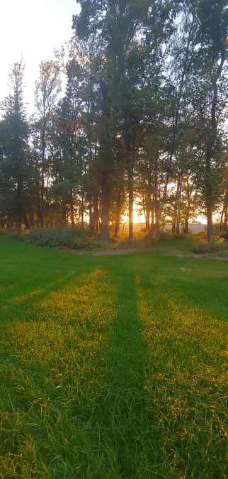 Park w Jaraczewie wygrał konkurs za rewitalizację. Nagrodę przyznało Towarzystwo Urbanistów Polskich