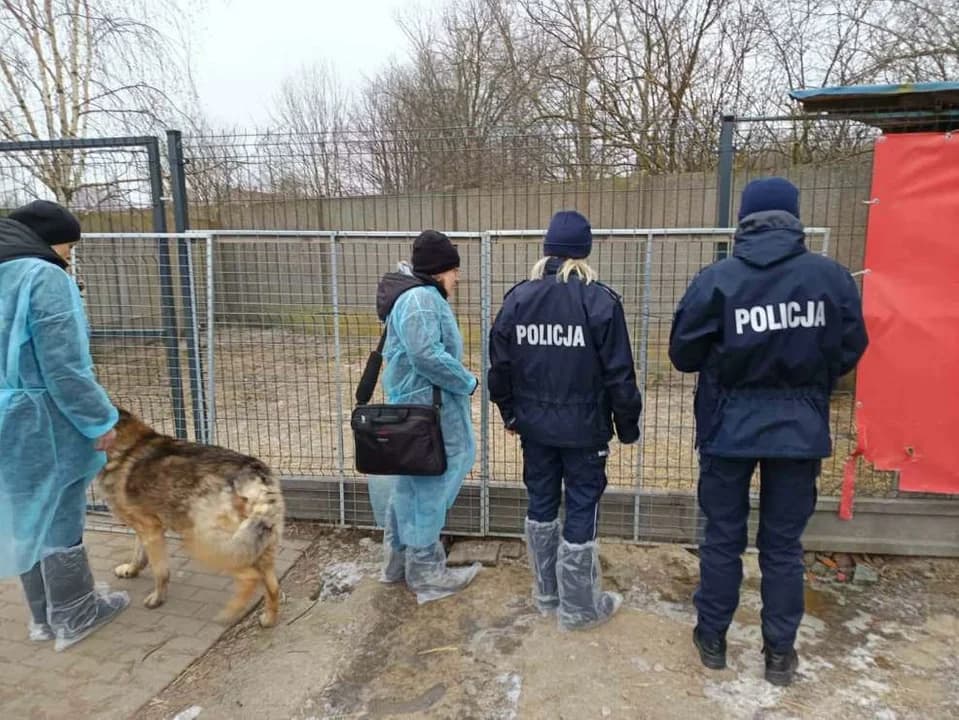Jarocińscy policjanci skontrolowali schronisko dla zwierząt w Radlinie. Co stwierdzili? [ZDJĘCIA, SONDA] — zdjęcie 6 z 11