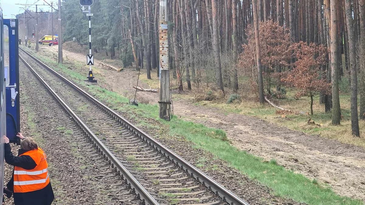 Wypadek na torach między Jarocinem a Środą Wlkp. — zdjęcie 1 z 3