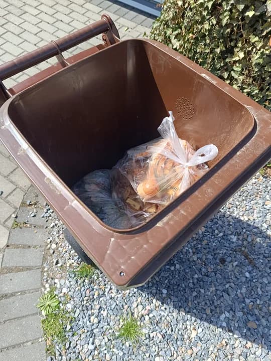 - Bioodpady kuchenne wrzucamy do pojemnika LUZEM. Jeśli zbierasz odpady w domu do worka, to brązowego pojemnika trafia tylko treść worka. Sam worek nie może znaleźć się w pojemniki na odpady BIO kuchenne - przypomnieli w komunikacie pracownicy gminy Nowe Miasto nad Wartą.