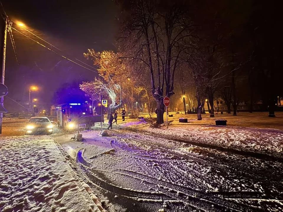 Strażacy usuwali skutki śnieżycy w powiecie jarocińskim — zdjęcie 3 z 6