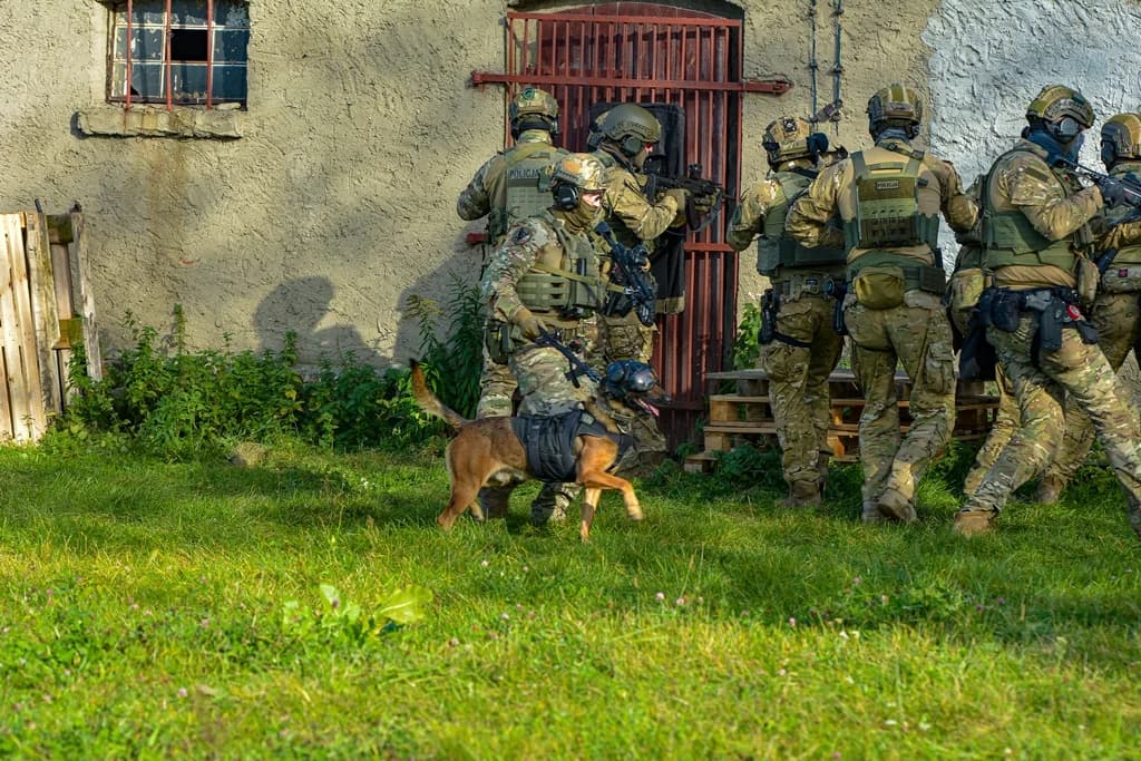 Katastrofa samolotu, uzbrojeni przestępcy i działania antyterrorystów - duże ćwiczenia policji i służb ratowniczych [ZDJĘCIA I FILM]