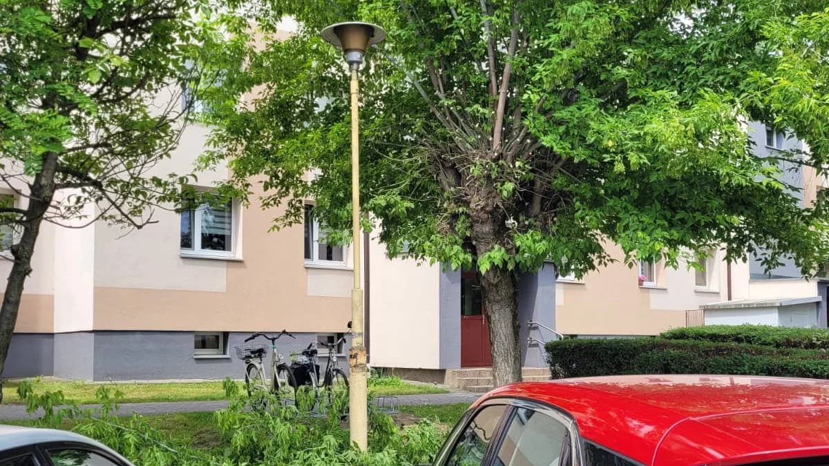 Zarośnięte lampy w centrum Jarocina. Jest reakcja spółdzielni mieszkaniowej