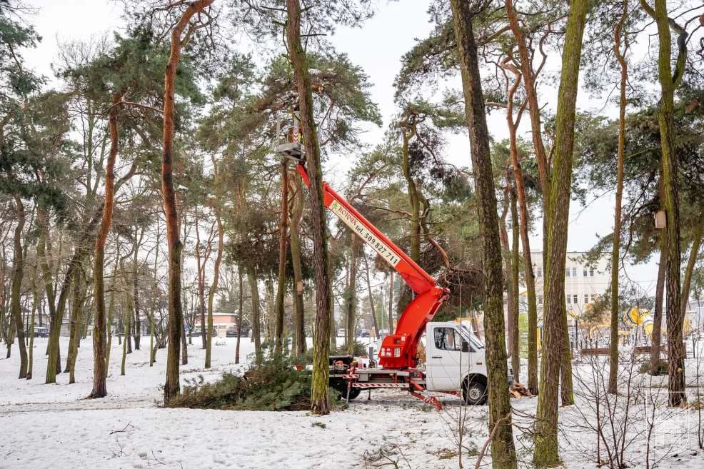 Na terenie gminy Jarocin odbywają się wielkie porządki po śnieżycy [ZDJĘCIA, SONDA]