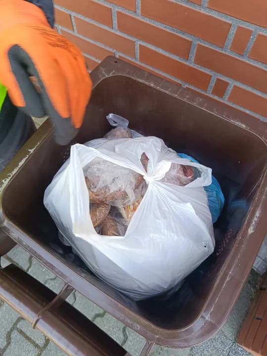 Problem dotyczy przede wszystkim odpadów kuchennych, które trafiają do brązowych pojemników w sposób niezgodny z regulaminem. Największą zmorą pracowników sortowni okazały się... worki foliowe.