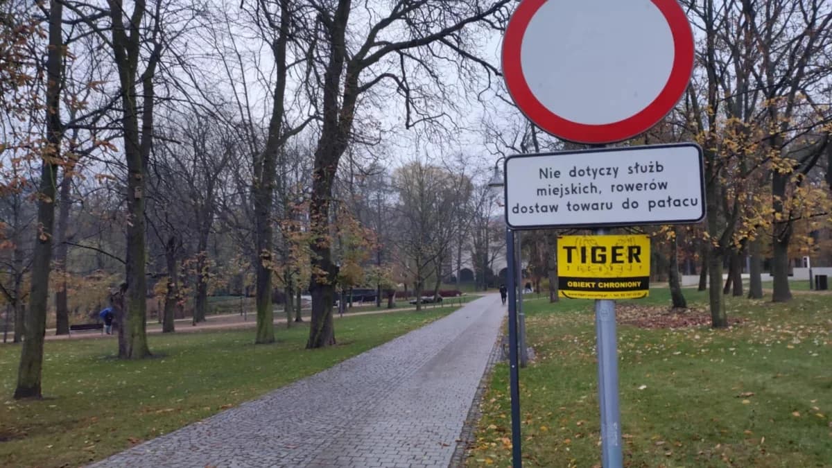 Co się stało z ochroną Parku Radolińskich w Jarocinie. Dlaczego ochroniarze nie pilnują porządku? [ZDJĘCIA, SONDA] — zdjęcie 3 z 3