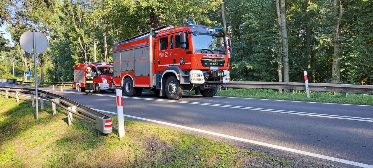 Zderzenie seata ibizy z porsche na drodze wojewódzkiej 443 w Bachorzewie — zdjęcie 2 z 10