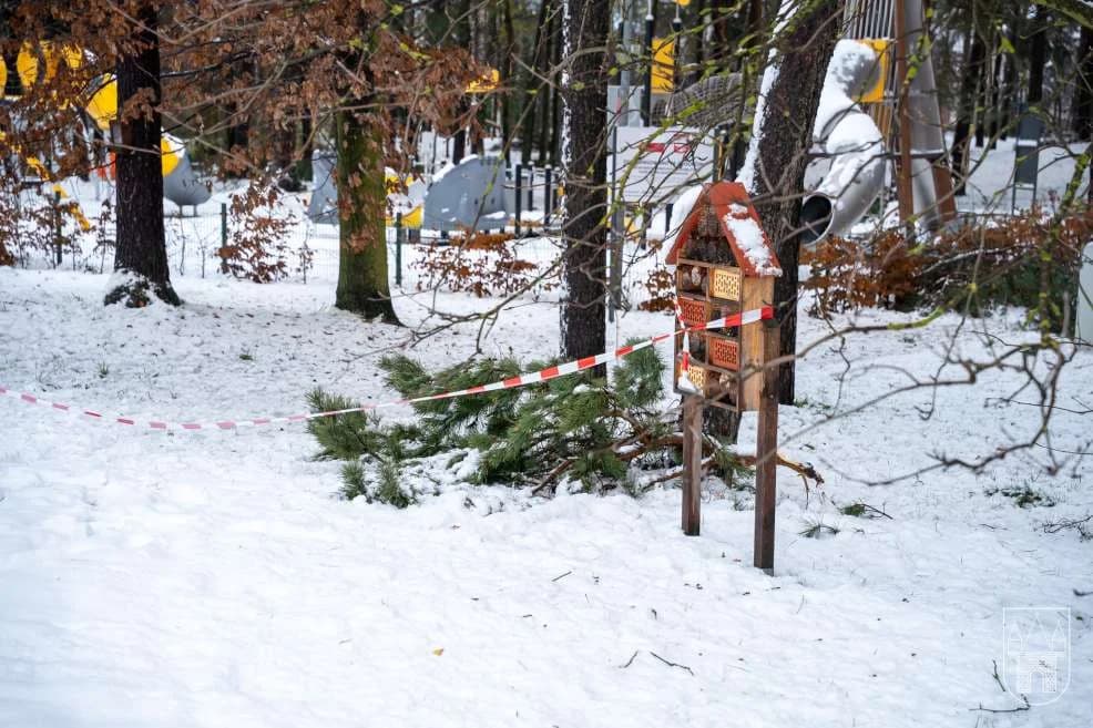 Sprzątanie po śnieżycy w gminie Jarocin — zdjęcie 4 z 36
