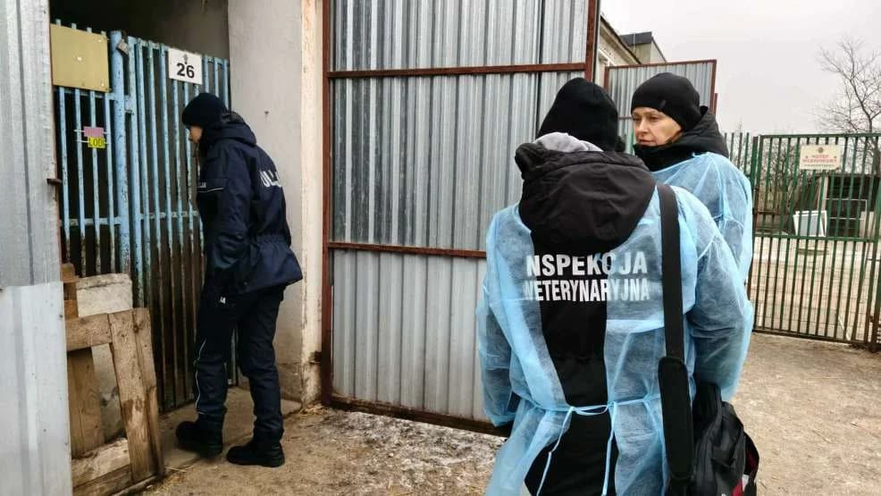 Jarocińscy policjanci skontrolowali schronisko dla zwierząt w Radlinie. Co stwierdzili? [ZDJĘCIA, SONDA]