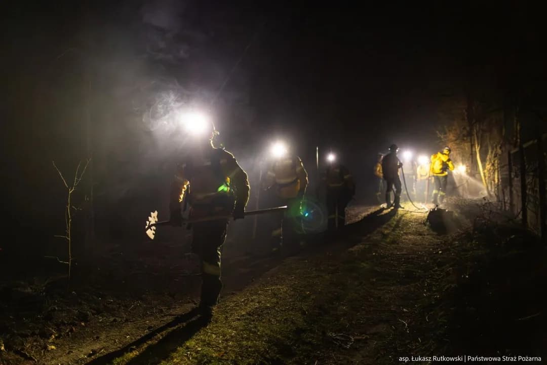 Strażacy z Wielkopolski gaszą ogromy pożar lasu na Lubelszczyźnie