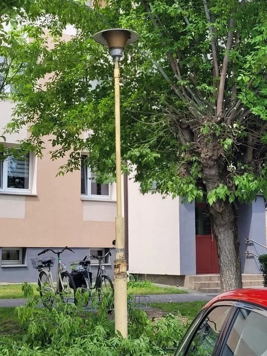 Zarośnięte lampy w centrum Jarocina. Jest reakcja spółdzielni mieszkaniowej — zdjęcie 2 z 4