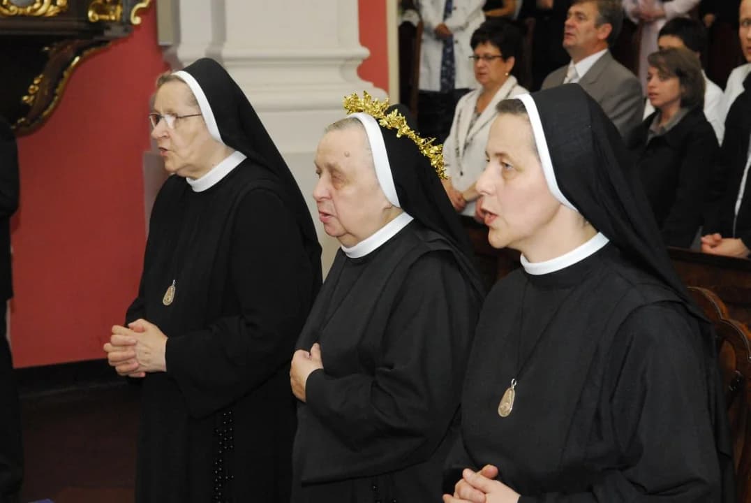 Przyjdź do ogrodu sióstr elżbietanek w Jarocinie, aby podzielić się wspomnieniami — zdjęcie 2 z 41