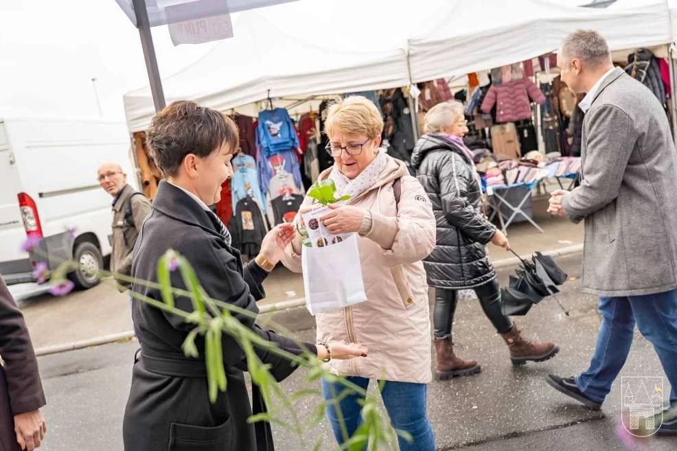 W ramach akcji „Zazieleniamy Jarocin” rozdawali darmowe rośliny na targowisku [ZDJĘCIA] — zdjęcie 6 z 51