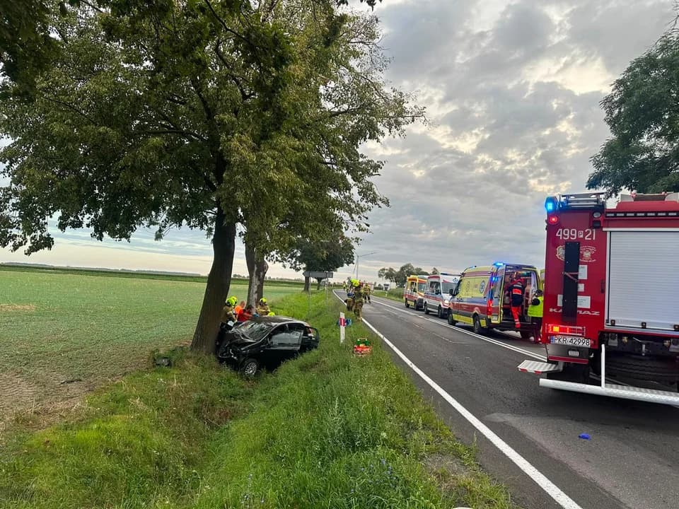 Do niebezpiecznego zdarzenia drogowego doszło o poranku na drodze krajowej nr 15. W miejscowości Orlinka samochód osobowy uderzył w drzewo.