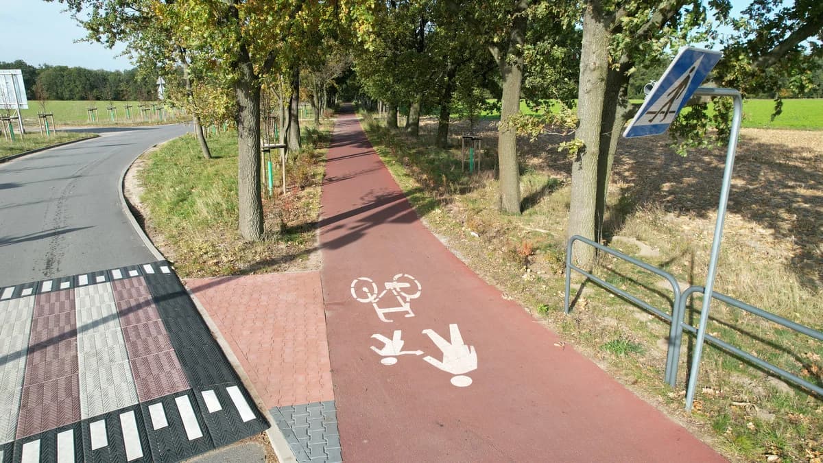 Dalej przecinamy ul. Maratońską i Aleję Światowego Dnia Roweru, przy której stoi dąb Leszek (obwód pnia 3,87 m) i dojeżdżamy do skraju lasu, którym kierujemy się w stronę Annapola - mijając po drodze kolejnych 6 pomnikowych drzew.