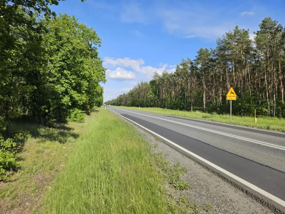 Jakie są szanse na wybudowanie ścieżki rowerowej przy DK 12 w gminie Jaraczewo?