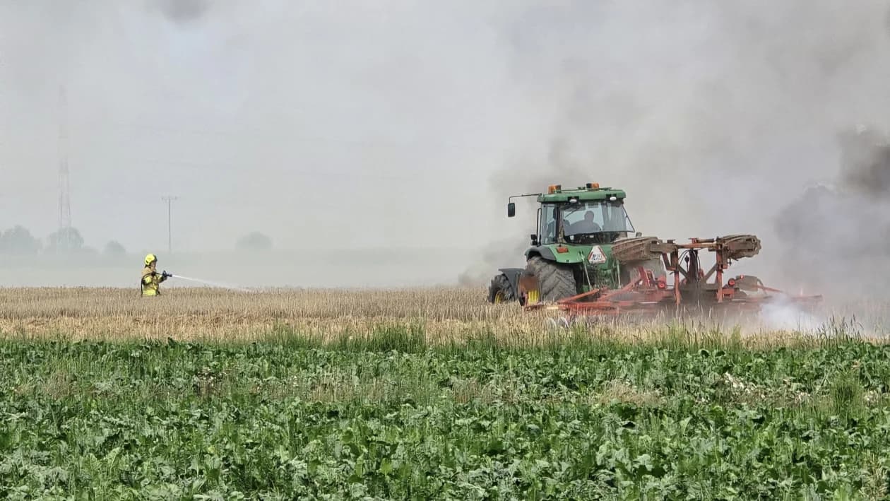 Pożar na polu w Potarzycy. Trzy zastępy straży w akcji [ZDJĘCIA] — zdjęcie 3 z 12