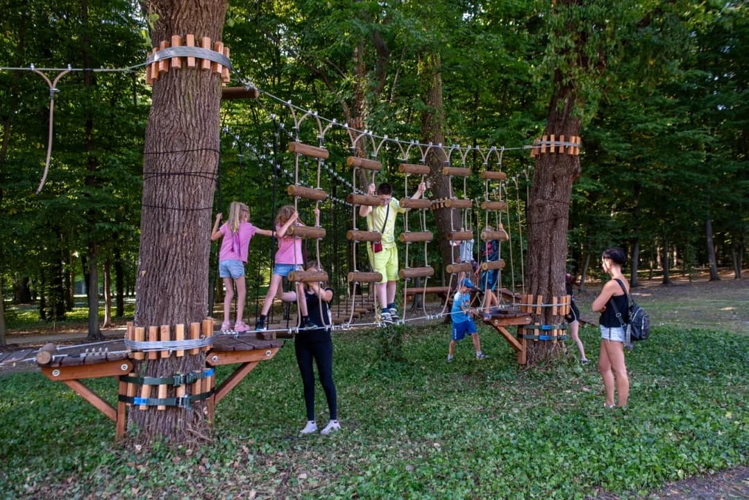 Nowa atrakcja w jarocińskim parku już gotowa. Na odważnych czeka park linowy z przeszkodami